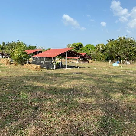Hotel - Granja De Animales San Basilio De Palenque San Basilio del Palenque Zewnętrze zdjęcie