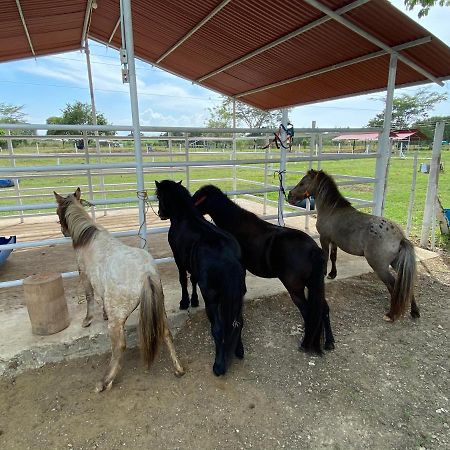 Hotel - Granja De Animales San Basilio De Palenque San Basilio del Palenque Zewnętrze zdjęcie