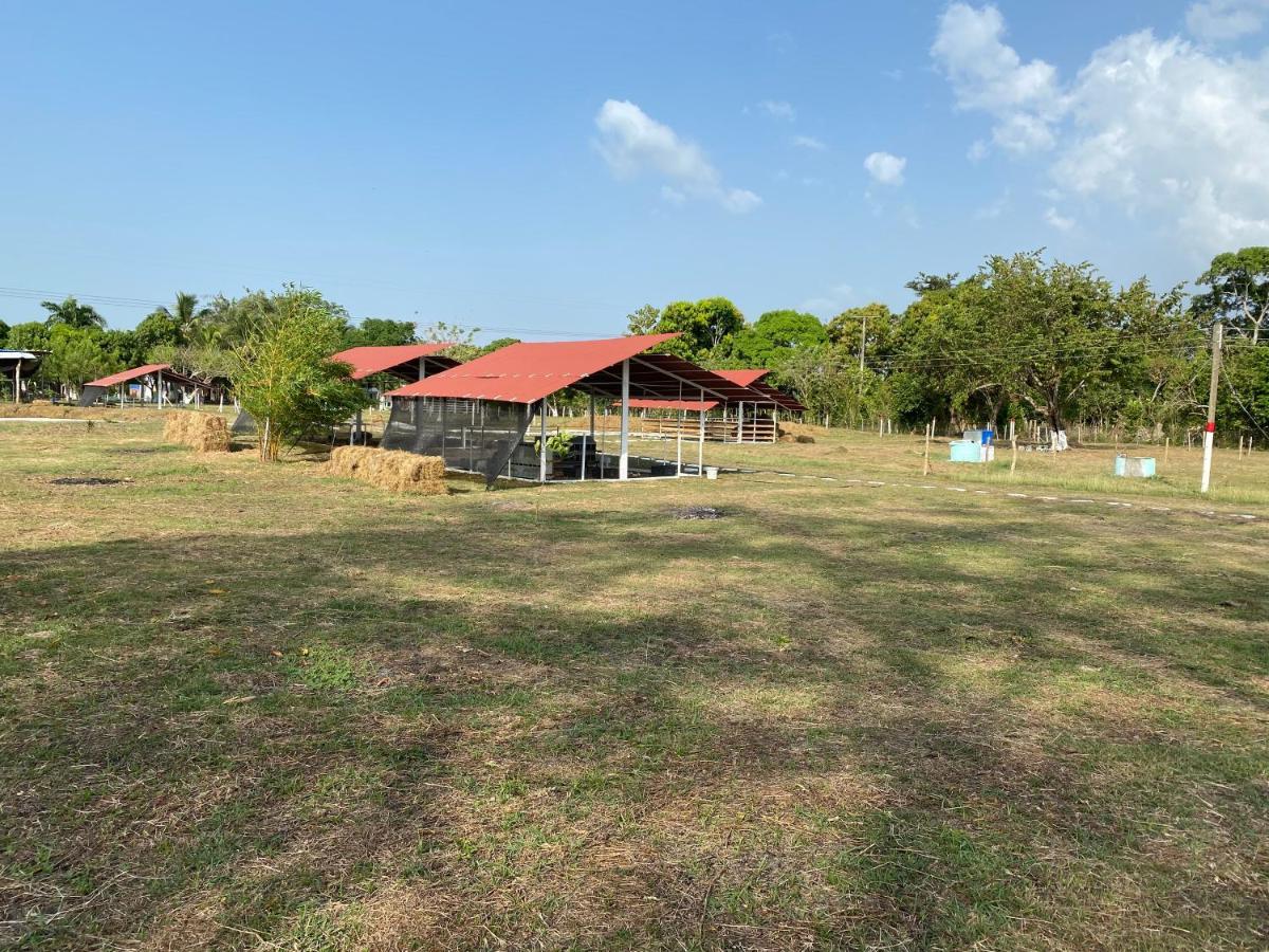 Hotel - Granja De Animales San Basilio De Palenque San Basilio del Palenque Zewnętrze zdjęcie
