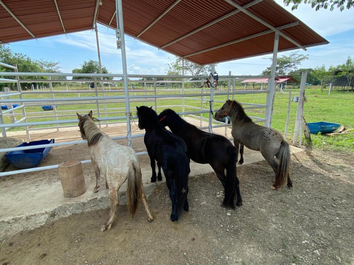 Hotel - Granja De Animales San Basilio De Palenque San Basilio del Palenque Zewnętrze zdjęcie