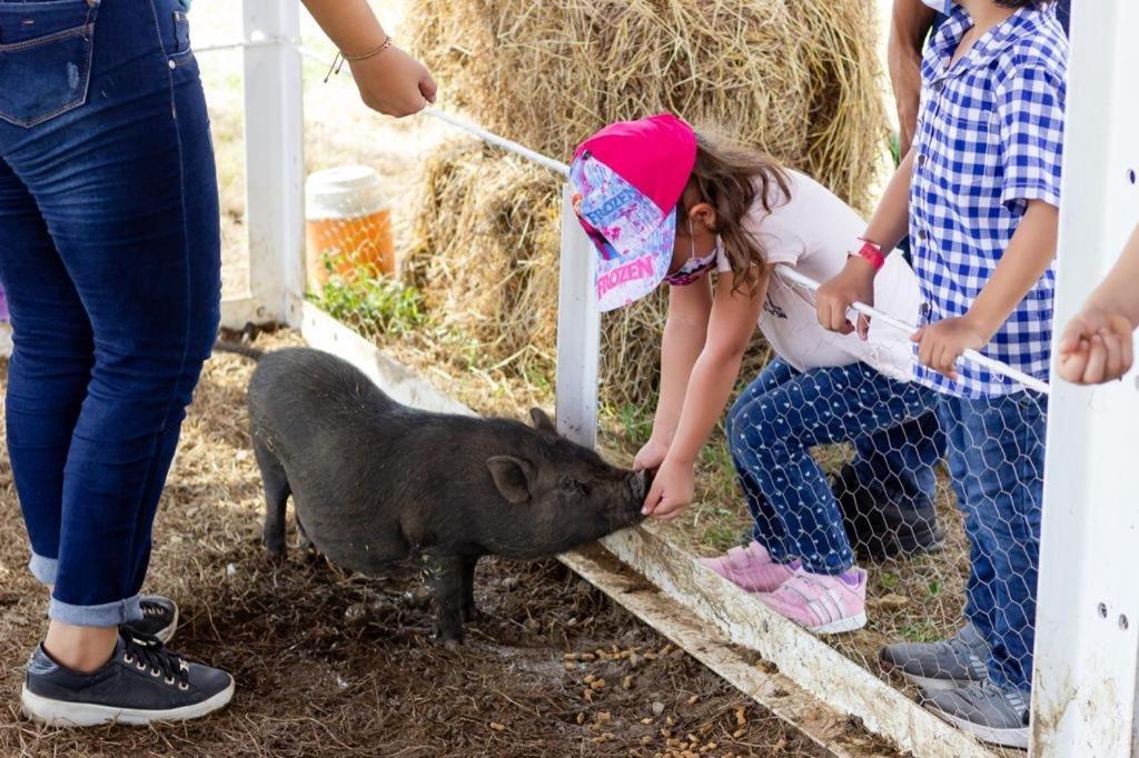 Hotel - Granja De Animales San Basilio De Palenque San Basilio del Palenque Zewnętrze zdjęcie