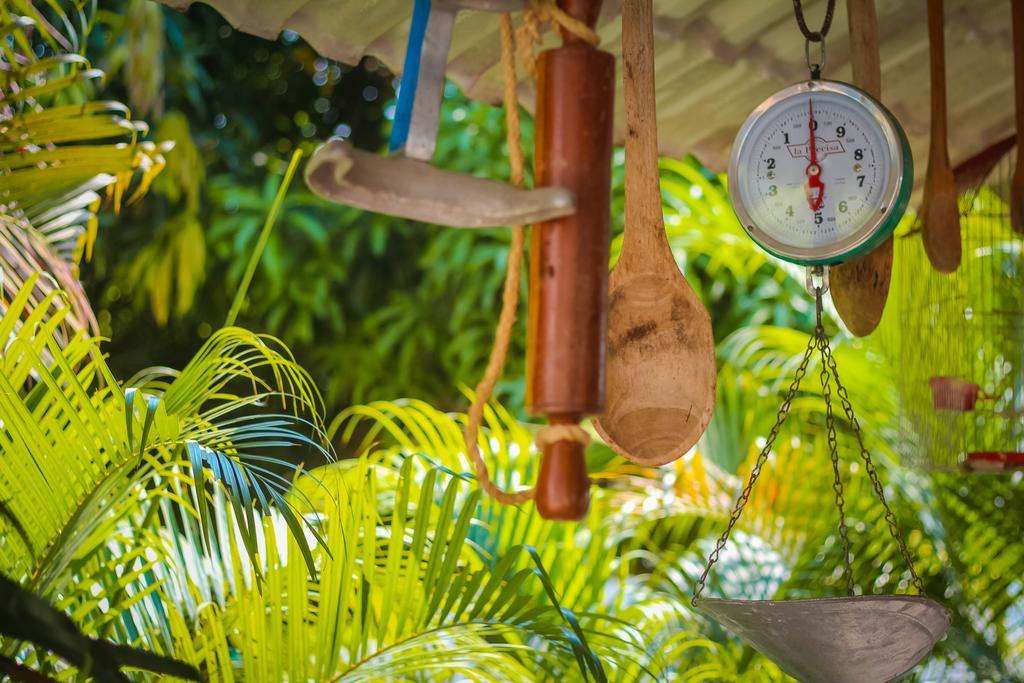 Hotel - Granja De Animales San Basilio De Palenque San Basilio del Palenque Zewnętrze zdjęcie